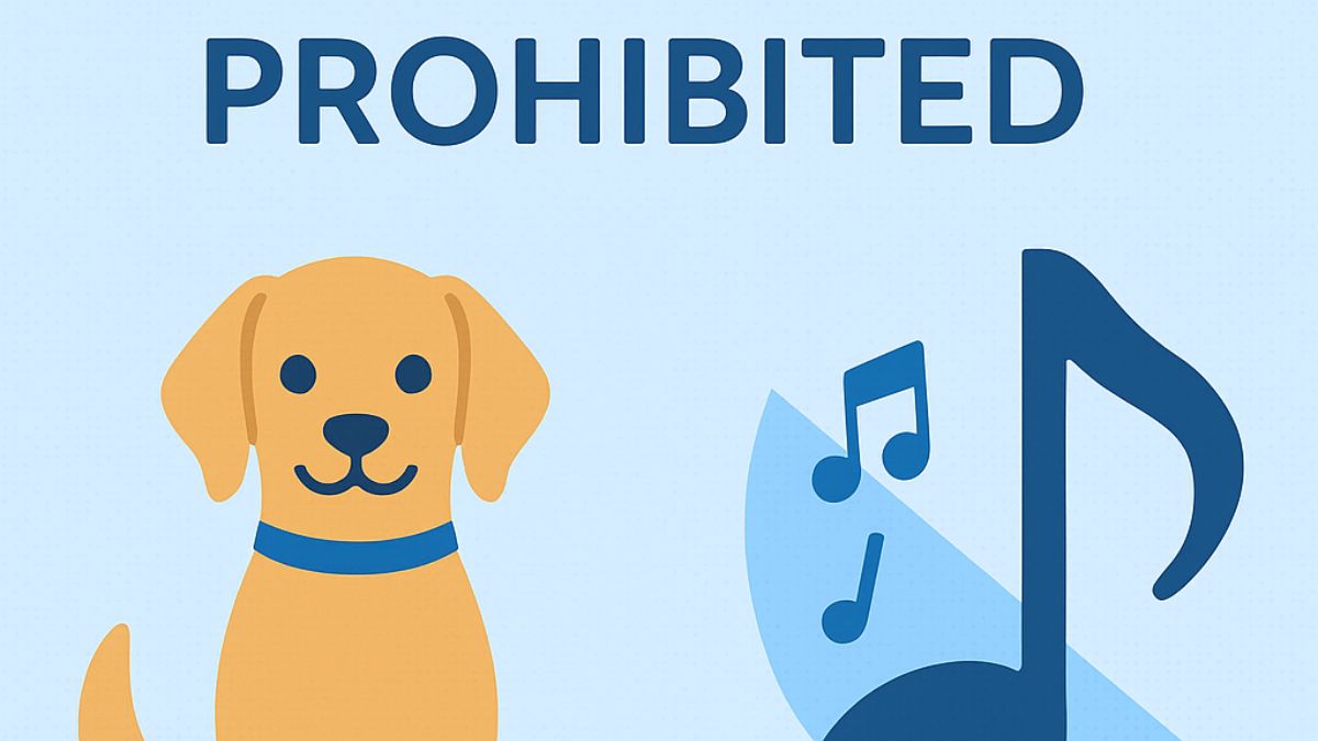 What Is Not Prohibited